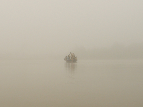 Benin Native Mangrove Boat