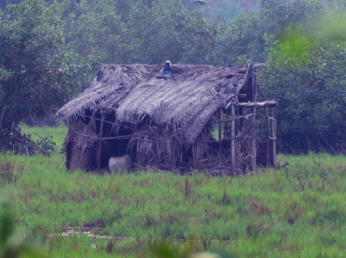 Benin Marsh House