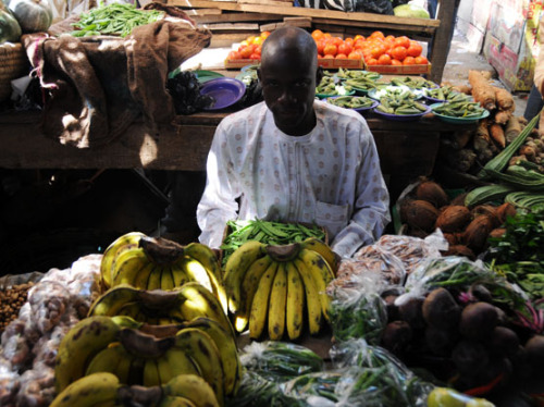 Nigeria Kano Farmers Market