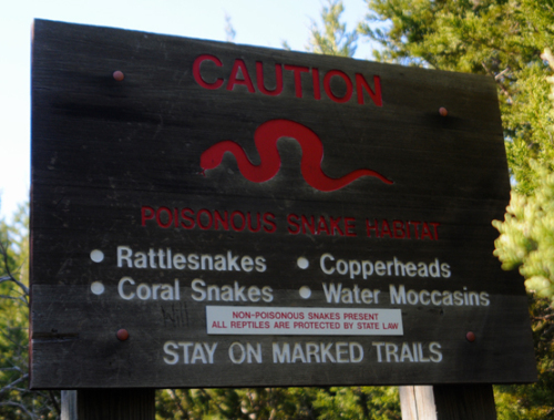 Texas Dallas Poisonous Snakes Sign