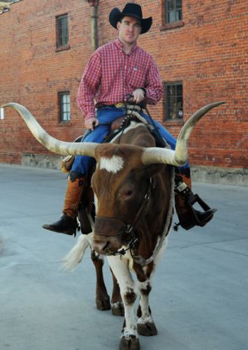 Texas Fort Worth Cowboy