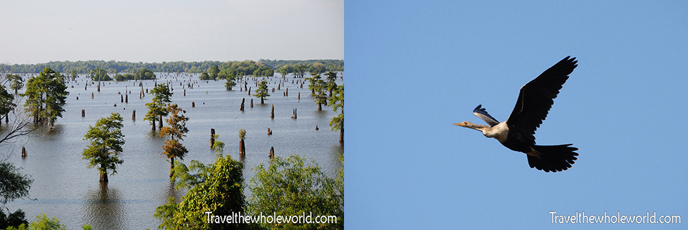 Atchafalaya Basin