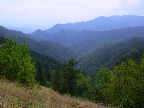 Georgia Borjomi View