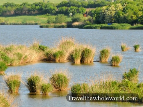 Moldova Grass Islands