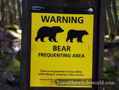 Glacier National Park Bear Warning