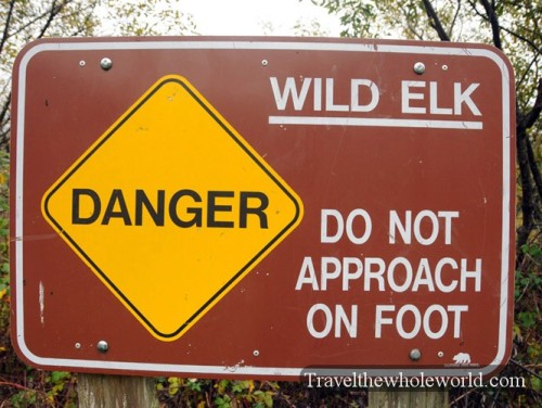 California Redwoods Elk Warning
