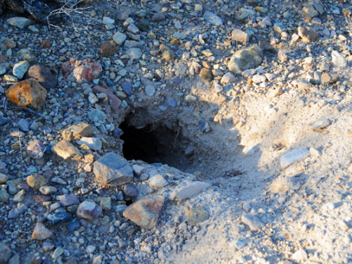 Texas Big Bend Rat Hole