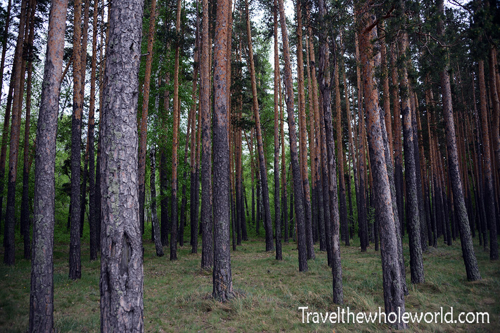 Kazakhstan Burabay Forest