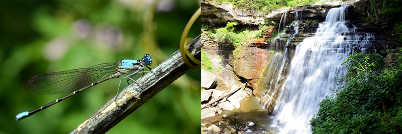 Cuyahoga National Park