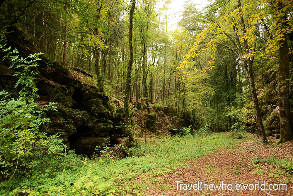 Luxembourg Mullerthal Forest