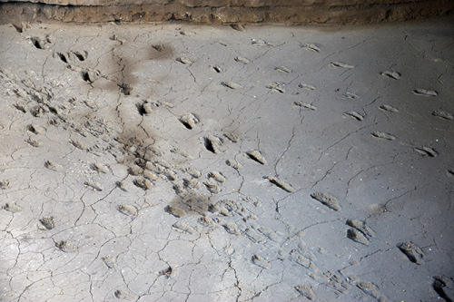 Nicaragua Managua Huellas Acahualinca Footprints