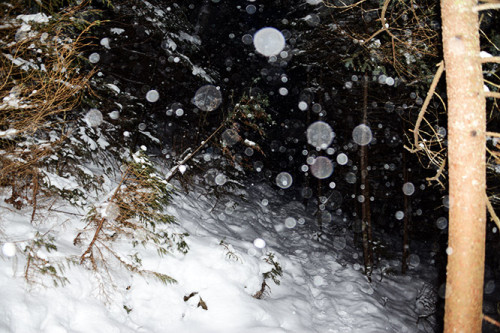 New-York-Adirondacks-Marcy-Trail-Snow2