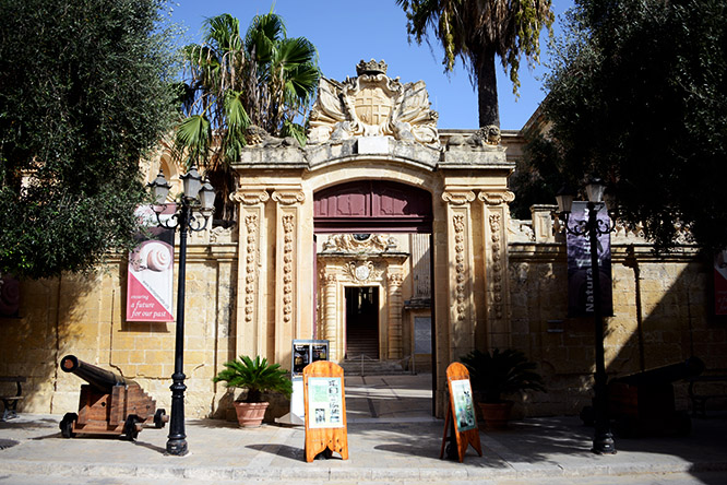 Malta Mdina Natural History Museum