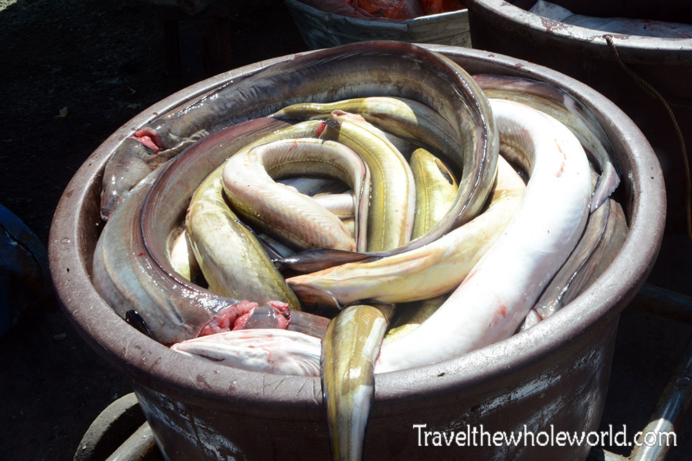 El Salvador Libertad Eels