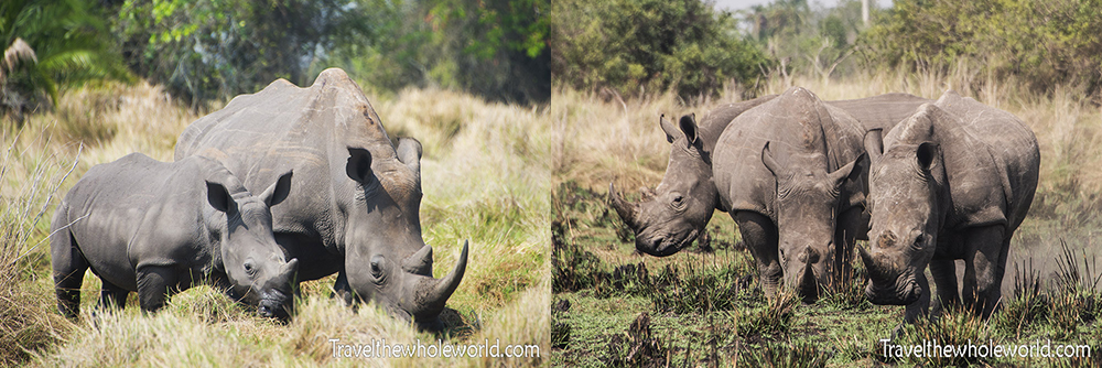 Ziwa Rhino Sanctuary