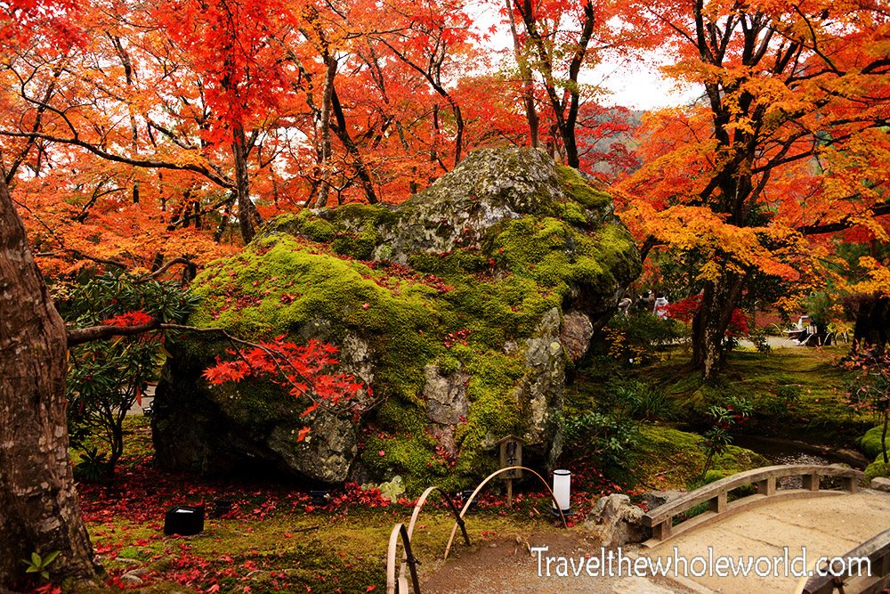 Kyoto Hogonin Autumn Fall Temple