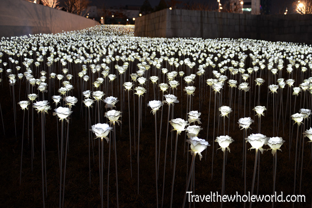 Dongdaemun Design LED Flowers