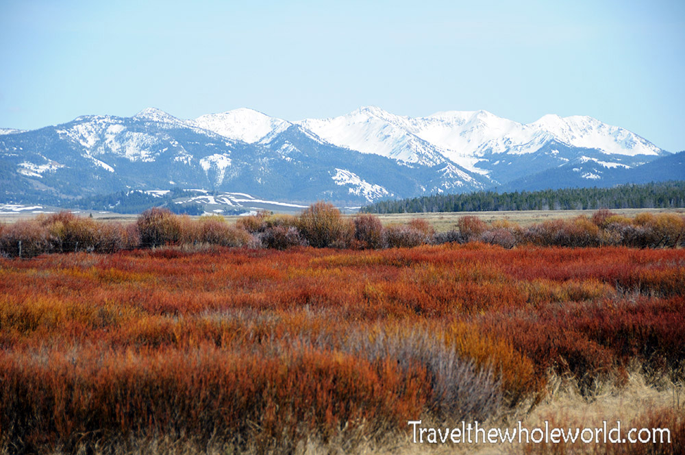Idaho Sawtooth Wilderness Colorful Meadows