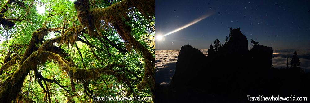 Olympic National Park