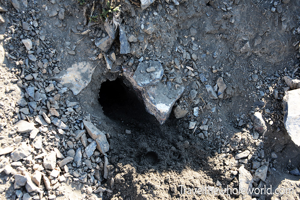 Idaho Borah Peak Animal Hole