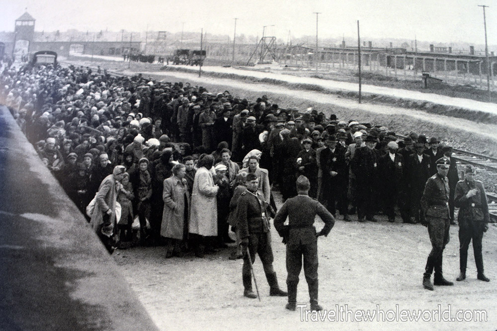 Auschwitz Arrivals