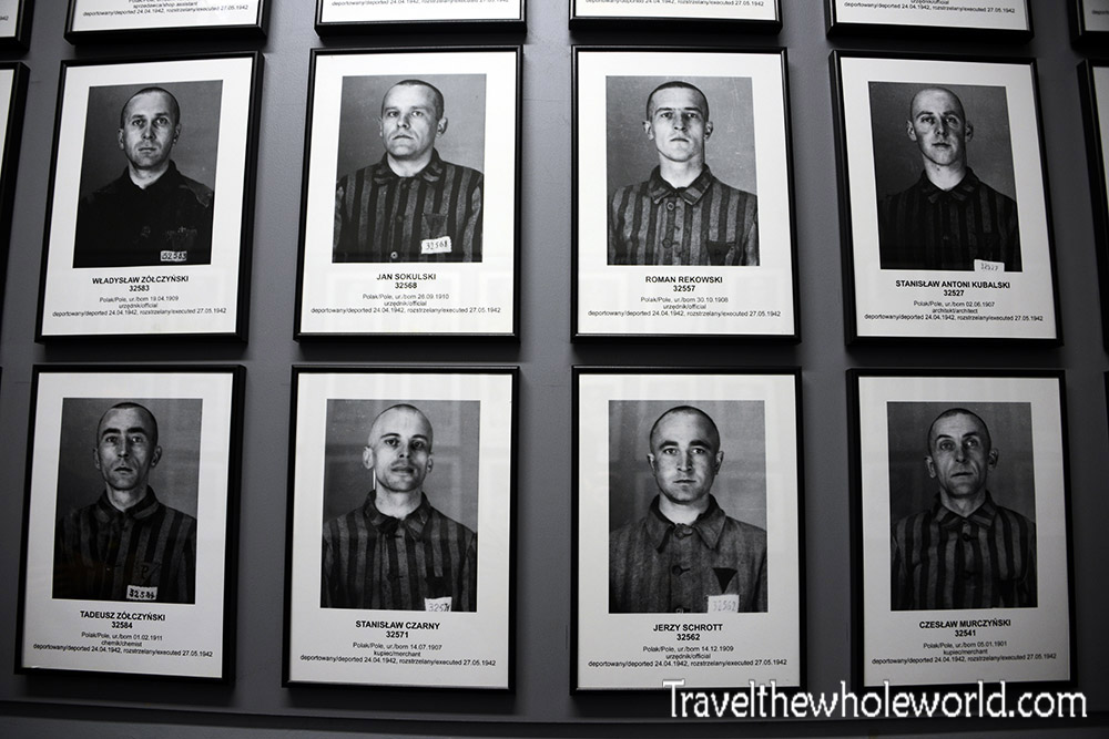 Auschwitz Victim Portaits