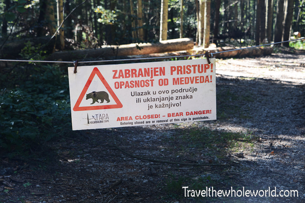 Serbia Brown Bear Warning