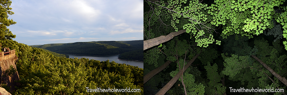 Allegheny National Forest