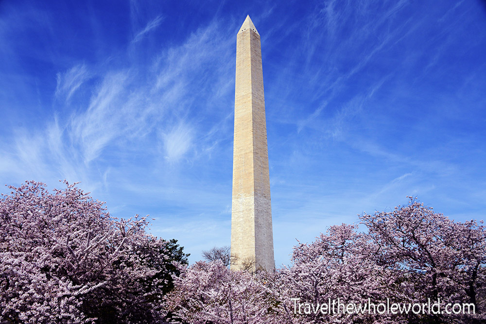 Washington DC Cherry Blossom Washington Monument
