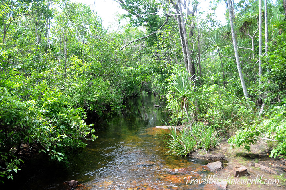 Australia Northern Territory Litchfield Park Creek