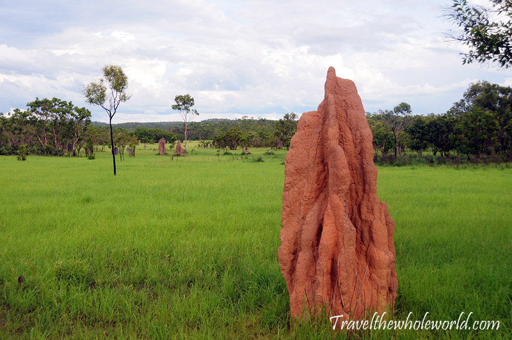 Australia Litchfield Termite Mound