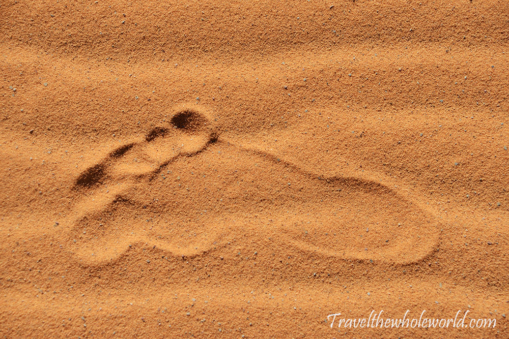 Sahara Footprint in the Sand Sledinapeske