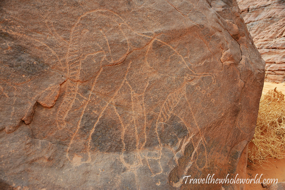 Algeria Sahara Elephant Carving Petroglyph