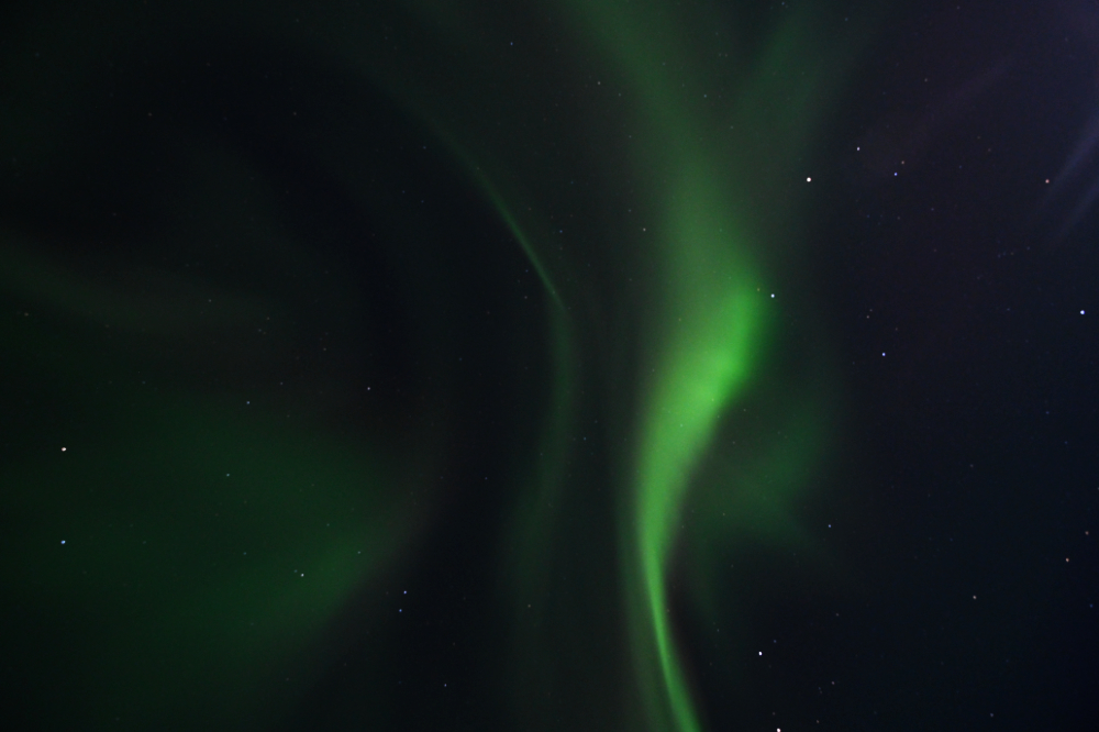 Green northern lights moving across the night sky near Fairbanks