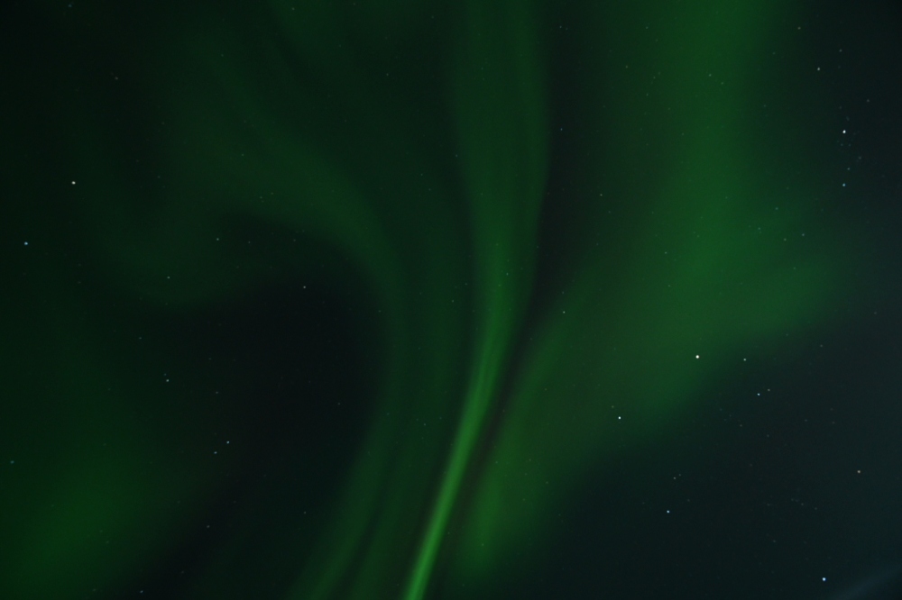 Aurora borealis illuminating the winter sky near Fairbanks, Alaska
