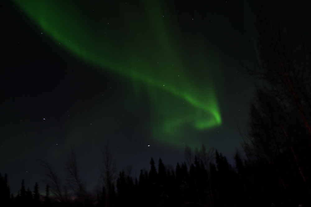 Northern lights dancing across the dark sky near Fairbanks