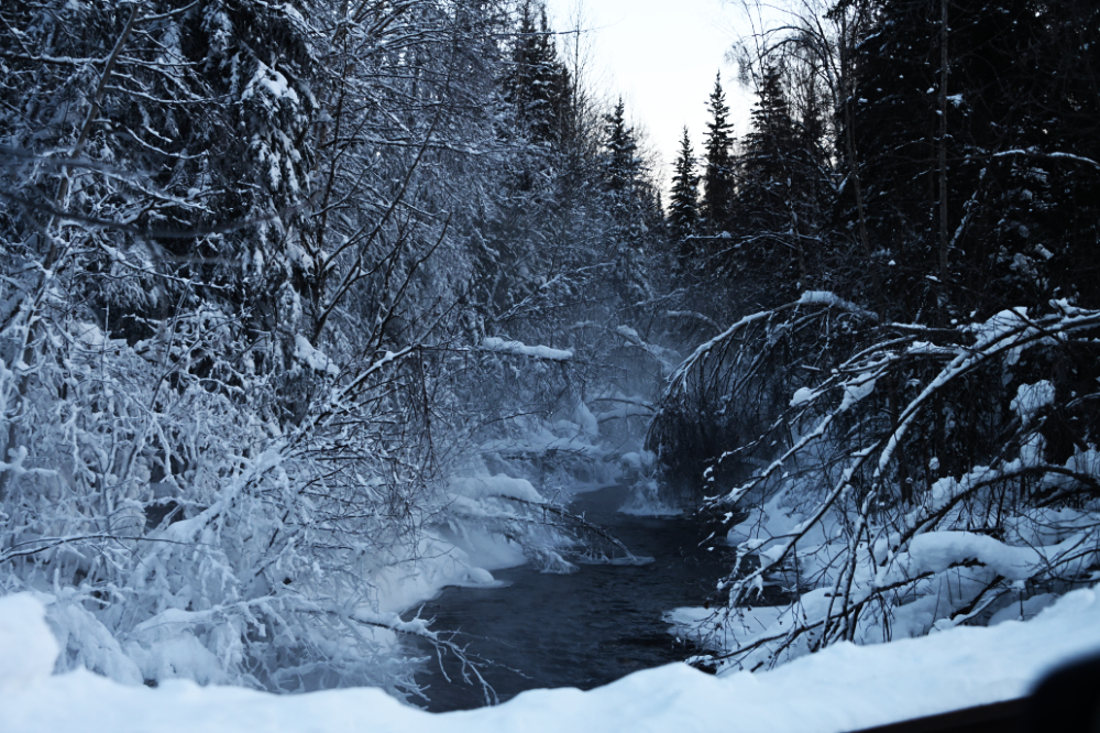 Warm creek surrounded by snow at Chena Hot Springs near Fairbanks