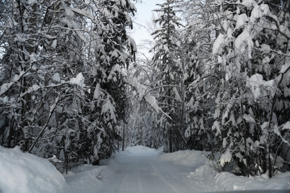 Snow-covered winter road near Fairbanks, Alaska