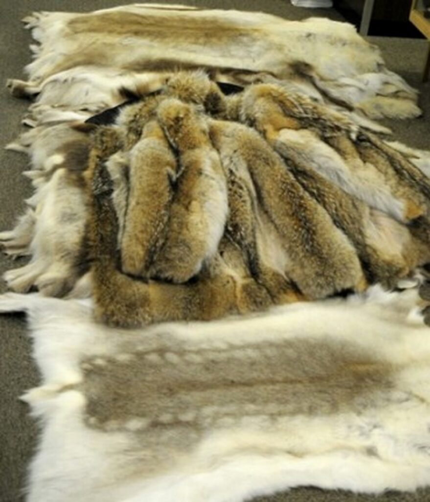 Furs for sale in Anchorage Alaska