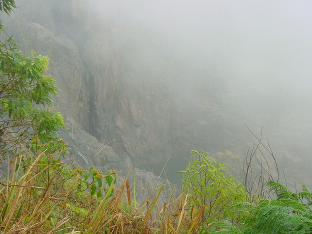Barron Gorge in the tropical rainforest near Cairns