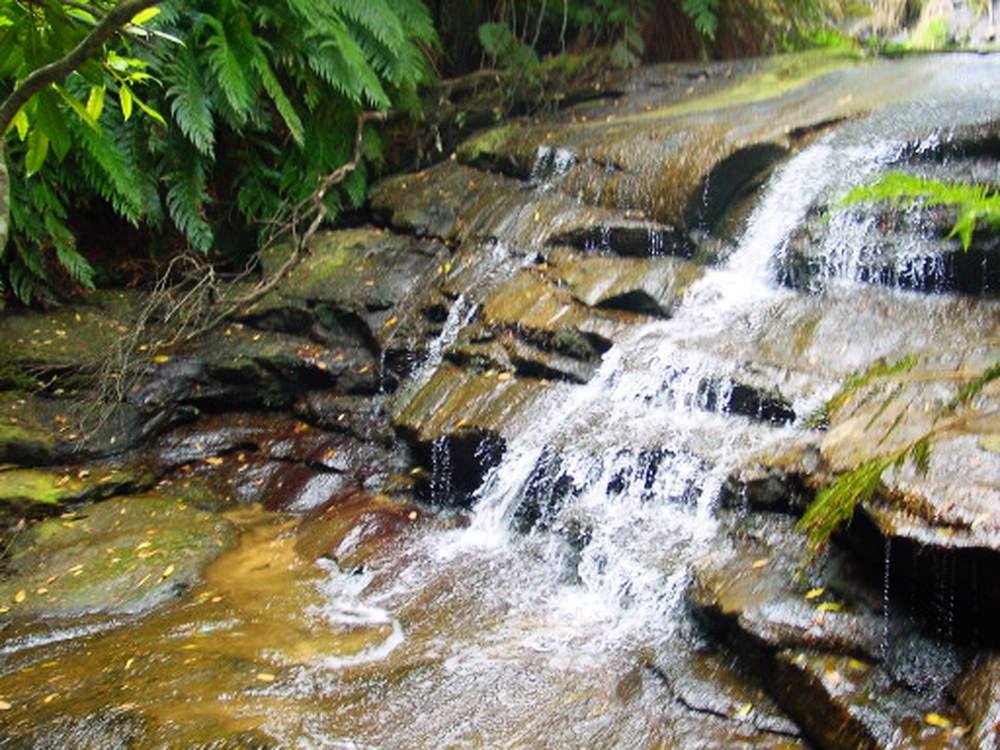 Waterfall in the Blue Mountains of Australia