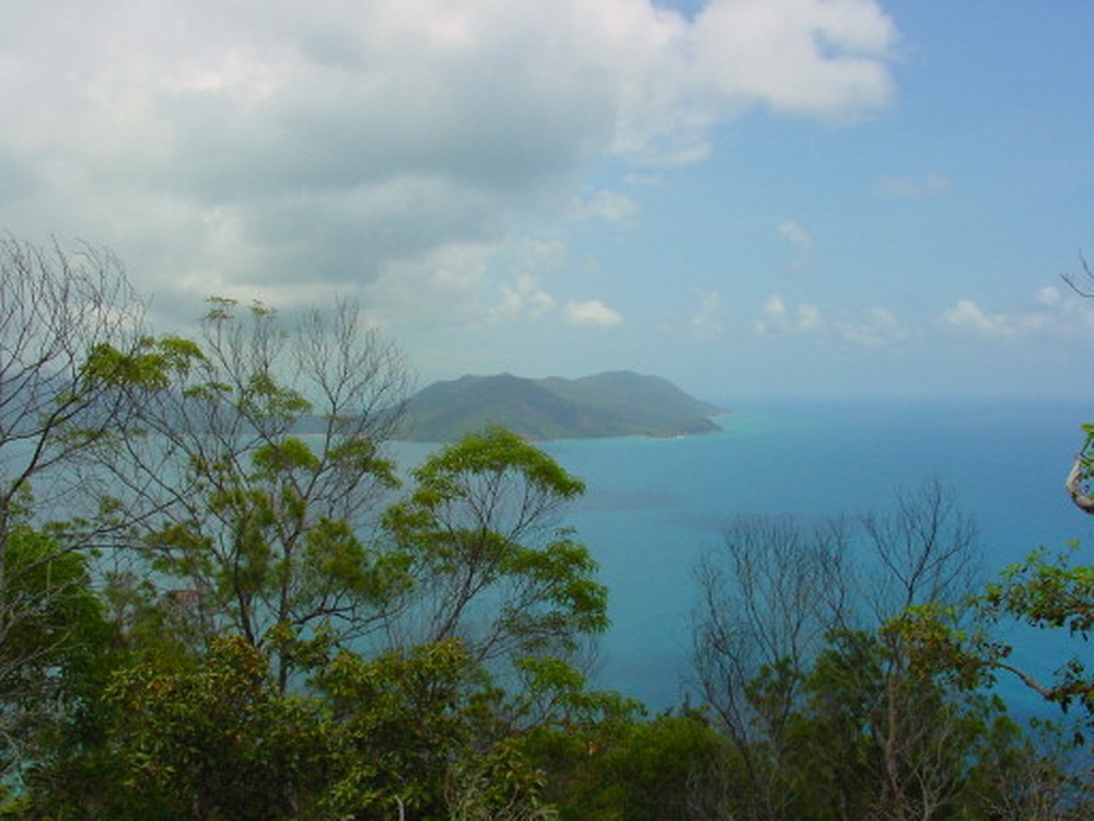 Tropical coast near Cairns in northeastern Australia