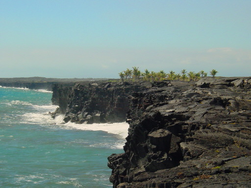 Hawaii Lava Palm Beach