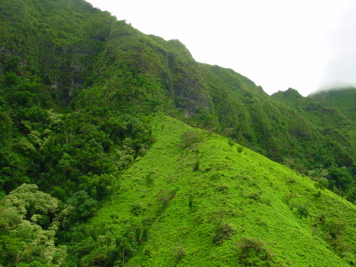 Hawaii Green Mountains