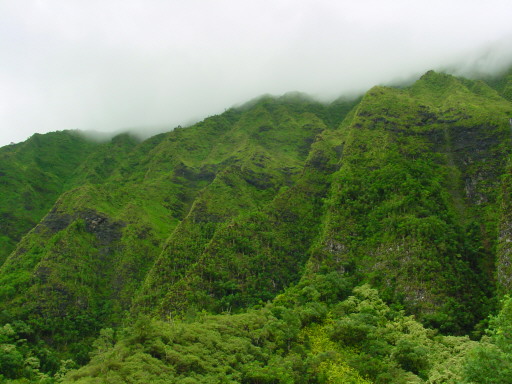 Hawaii Green Mountains