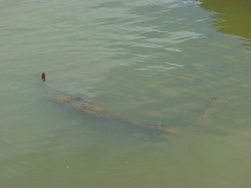 Hawaii Pearl Harbor USS Arizona