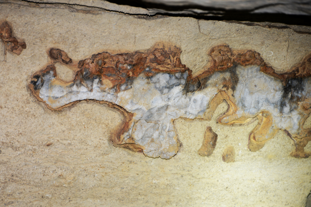 Alabama Cathedral Caverns Sea Sponges
