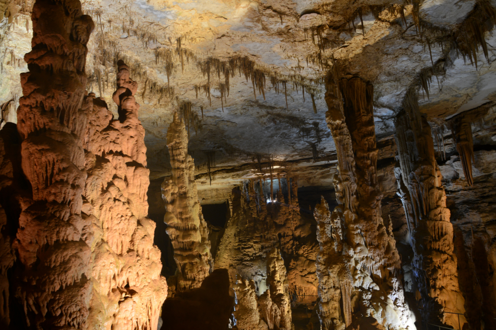 Cathedral Caverns Stalactite Forest