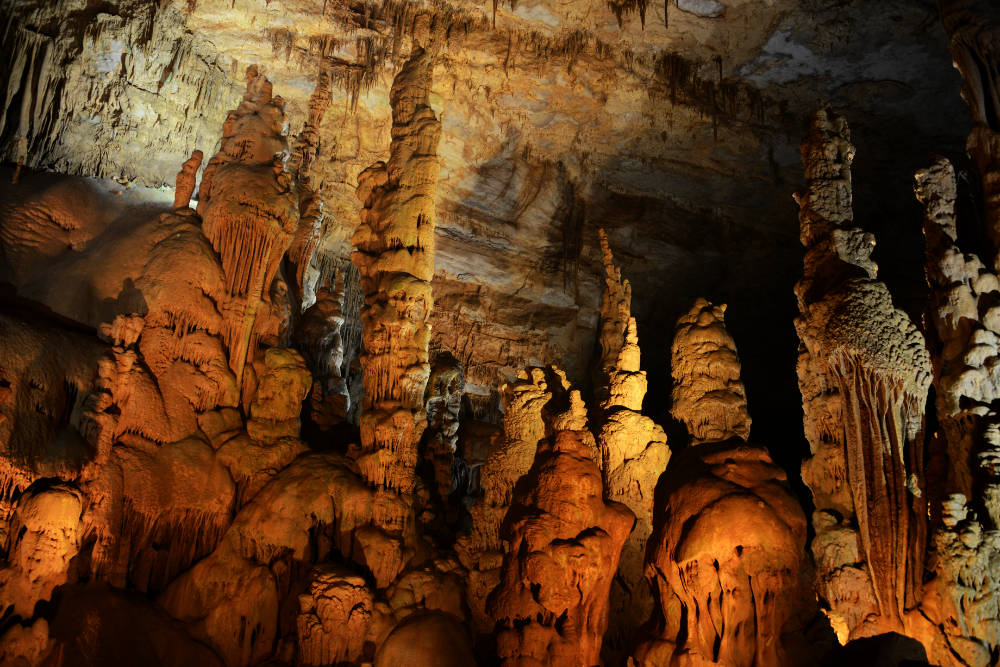 Alabama Stalactite Forest