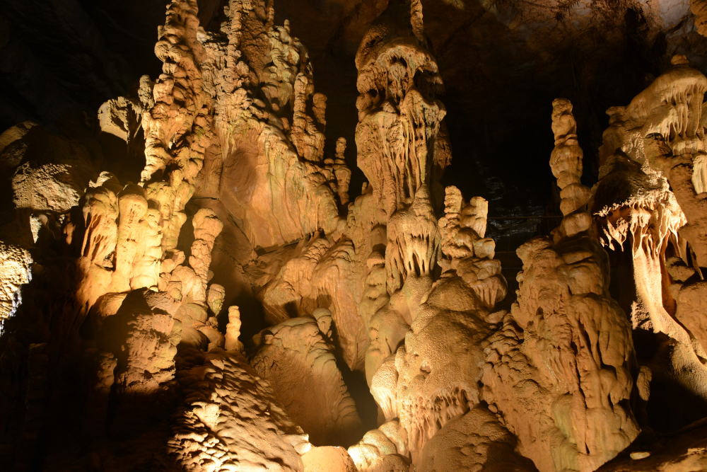 Stalactite Forest